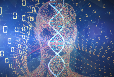 The Digital Backbone: How ERP Systems Transform Supply Chain Operations