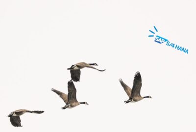 SAP S/4HANA Migration Trends Heading into 2026